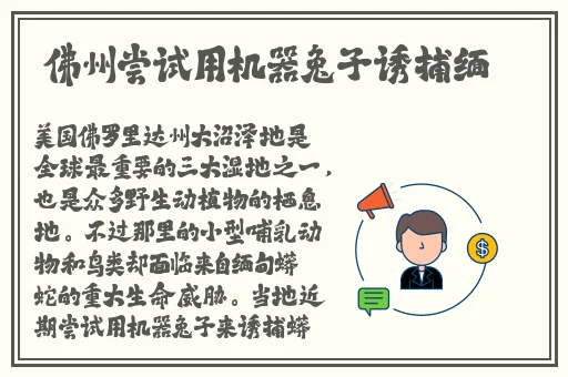 99热在线精品免费全部my